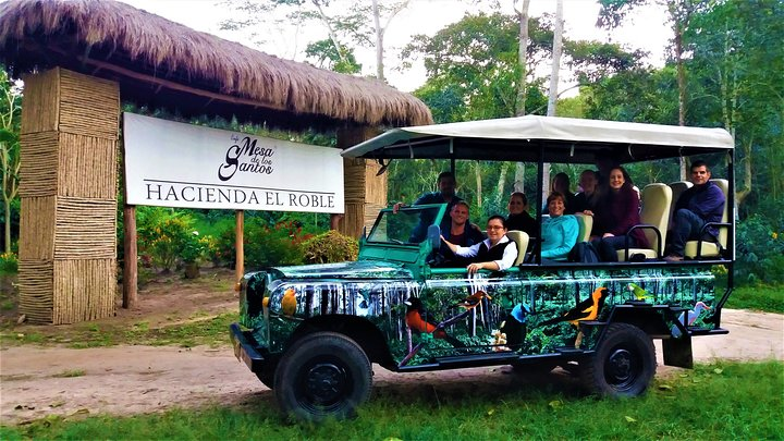 Private Tour - Coffee Tour (Cultivations)  - Photo 1 of 7