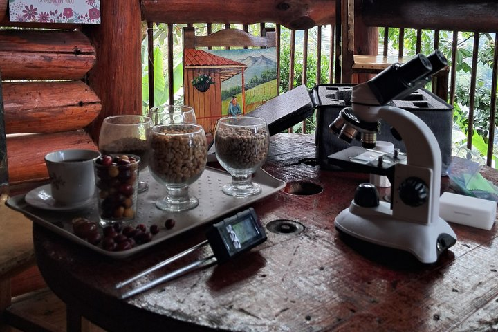 Agroecological coffee farm experience - Photo 1 of 8