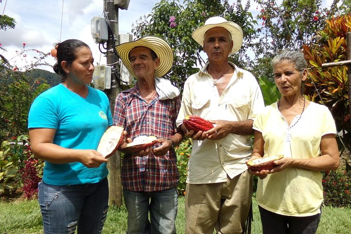 Private tour: Peacebuilding in Antioquia - From Coca Fields to Cocoa! - Photo 1 of 20