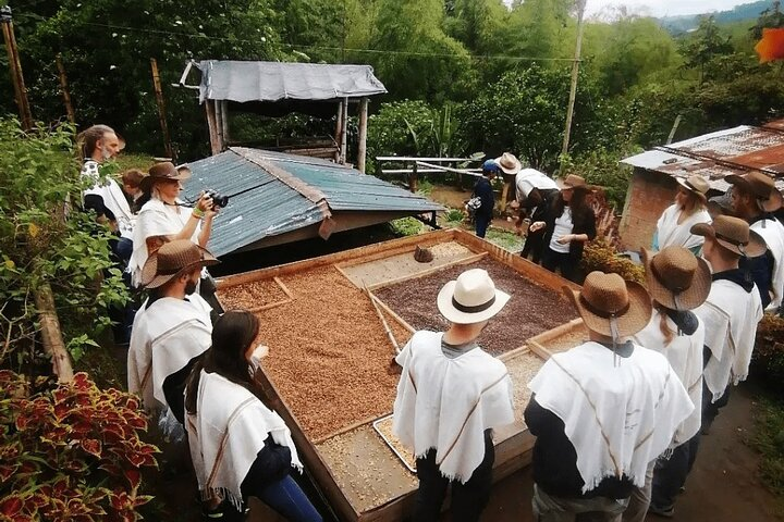 Private Tour to Coffee Farm (farm of your choice) - Photo 1 of 6