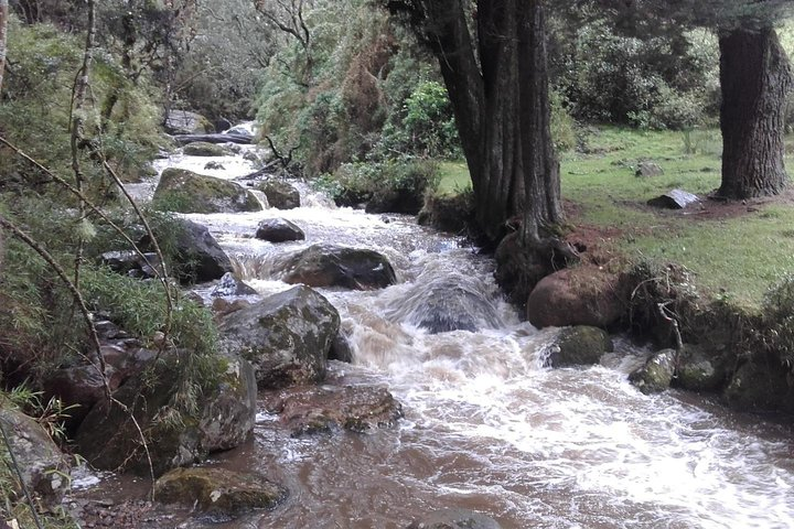 Reserve El Delirio - La Maria - Photo 1 of 2