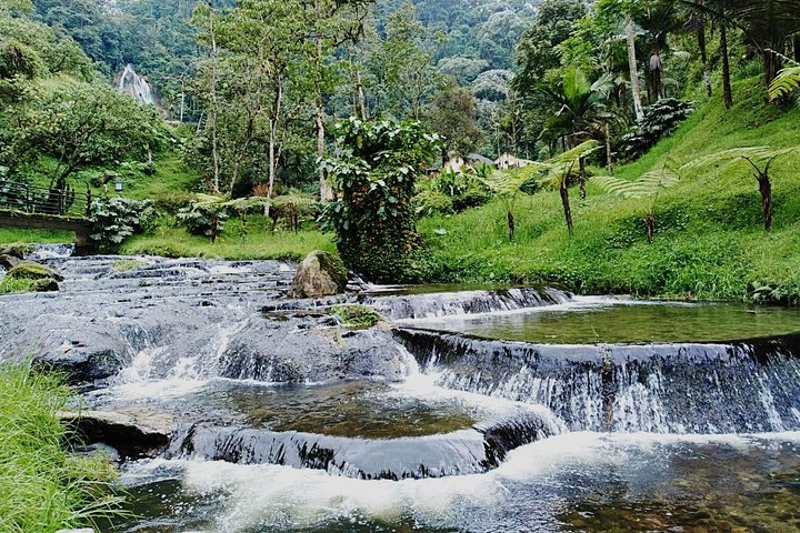 Santa Rosa de Cabal and Hot Springs Day Trip - Photo 1 of 7