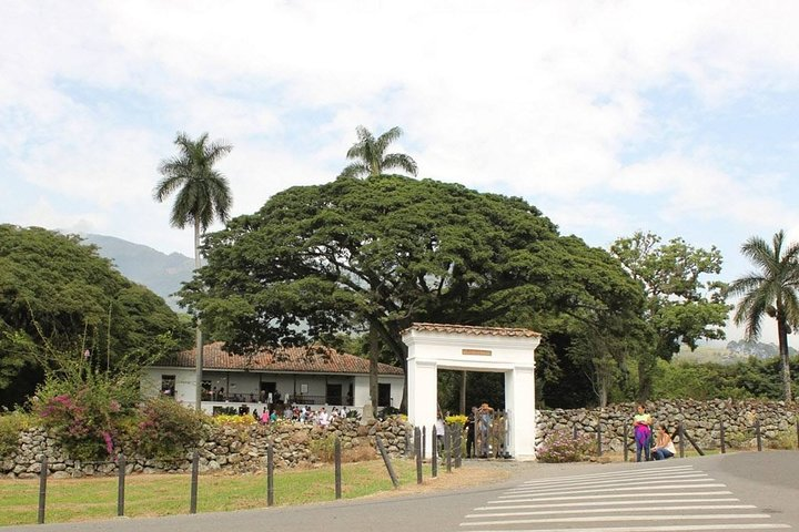 Sugar Cane Hacienda El Paraiso & Nature Day Tour - Photo 1 of 6