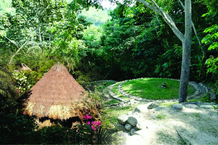 Private Cacao & Taironaka Tour on the Don Diego River - Photo 1 of 10