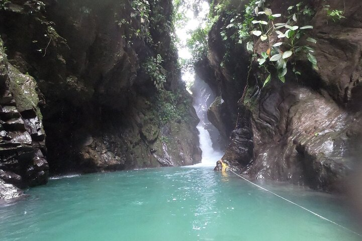 Tour Birds, Anchicaya and the Oasis de la Sirena - Photo 1 of 10