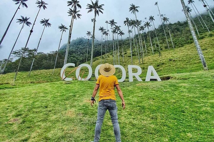 Tour in the Cocora Valley short - Photo 1 of 10