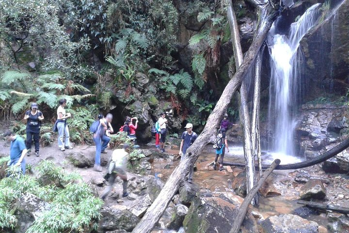 Tour Quebrada delights Bogotá - Photo 1 of 2