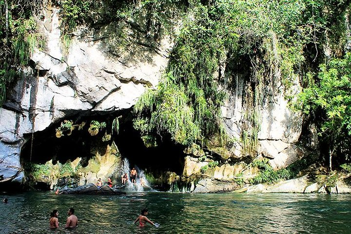 Cave of the guacharos