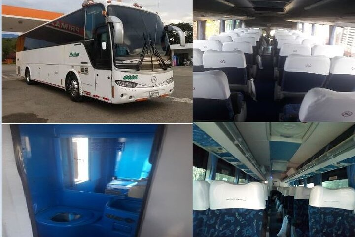 transportation services in buses and van of various quotas full availability - Photo 1 of 7