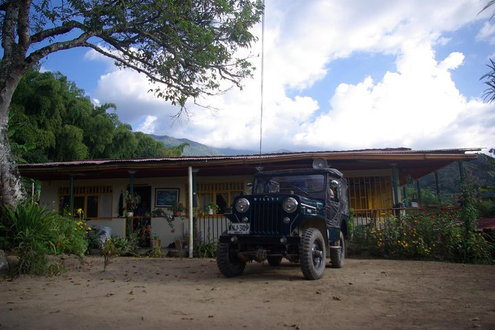 Traditional Coffee Farm