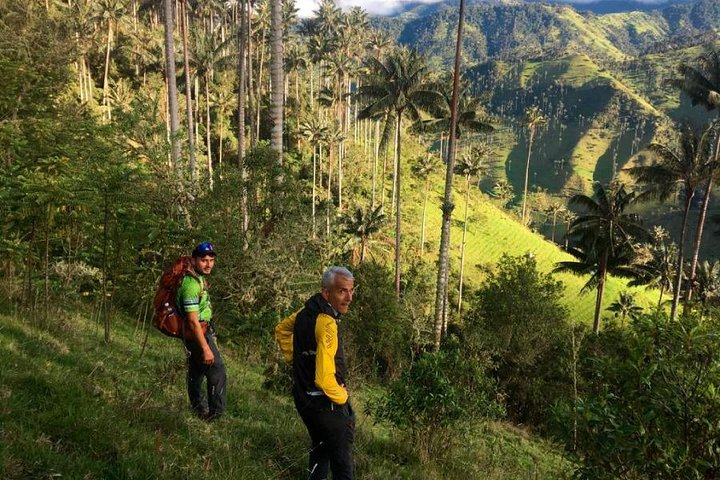 Wax Palm Feeling Hike (1 night-2 days) - Photo 1 of 17