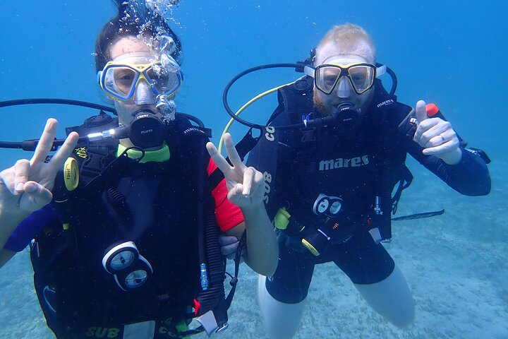 Try Scuba Diving / Basic Diver in Tamarindo | Pelago