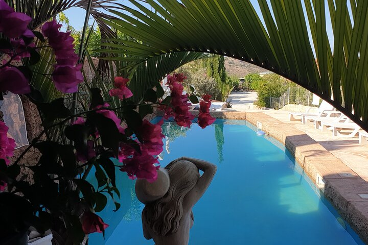 View of the pool area from the cave bar