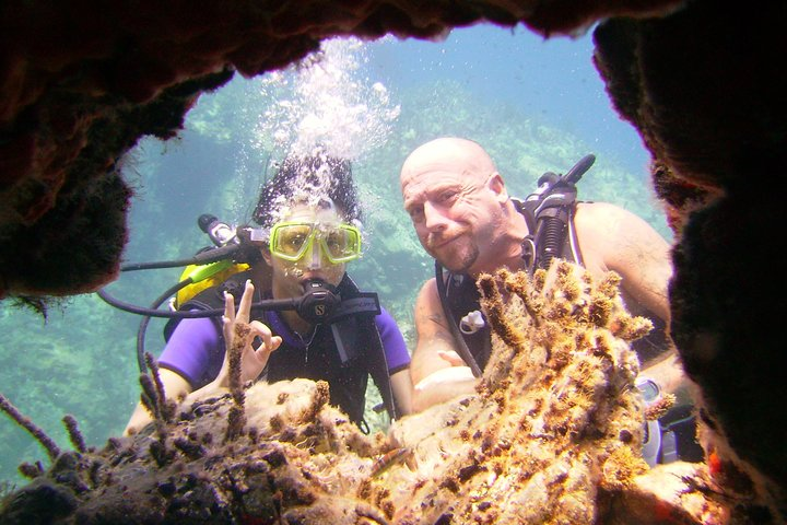 Achieve your PADI OPEN WATER DIVER certification. - Photo 1 of 4