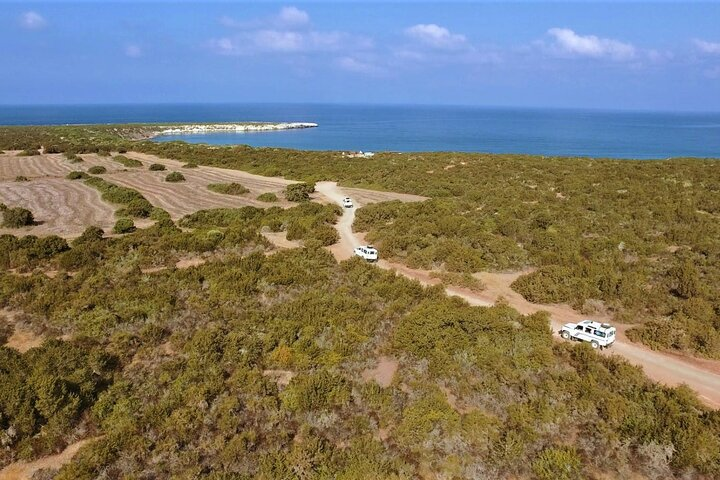 Akamas Peninsula Full Day 4x4 Winter Tour - Photo 1 of 6