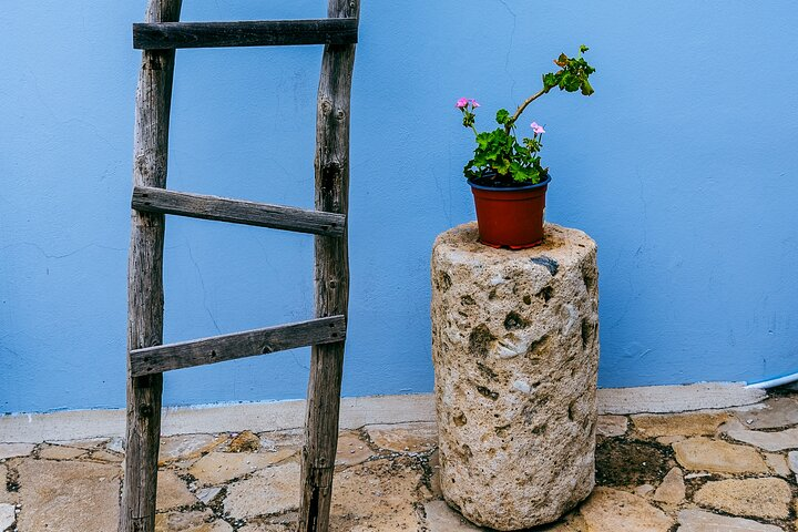 Authentic Cyprus from Ayia Napa/Protaras in Polish  - Photo 1 of 11