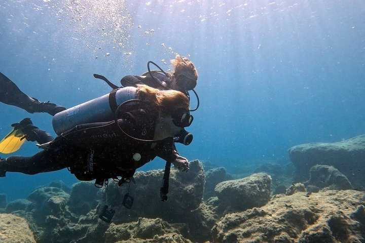 Private Discovery Dive + Photos & Videos - Photo 1 of 8