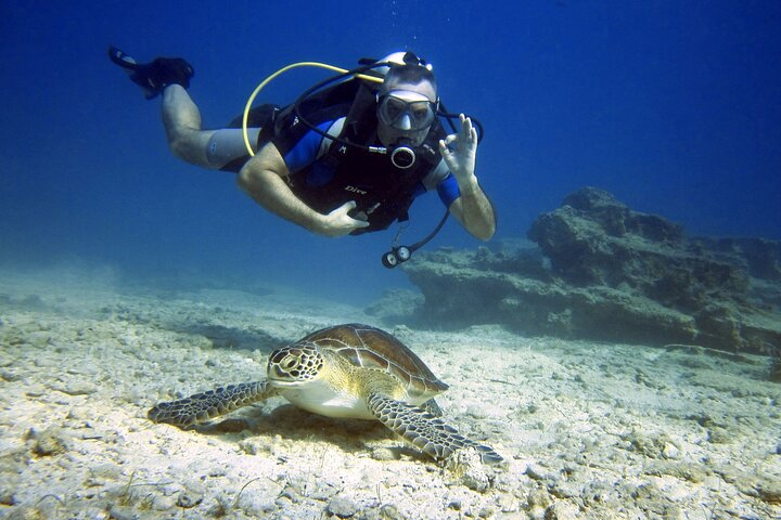 Discover Scuba Diving with Poseidon
