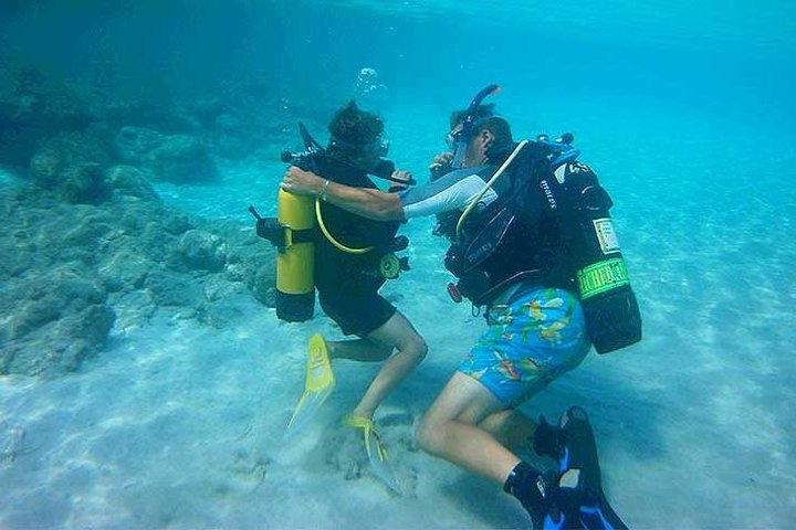 Beginners Discover Scuba Diving By Boat, Best Spot In Cyprus - Photo 1 of 7