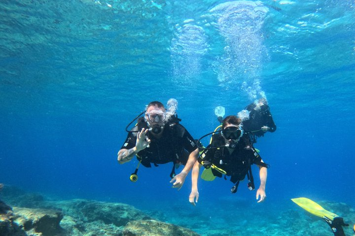 Discover Scuba diving at Green bay statues - Photo 1 of 10