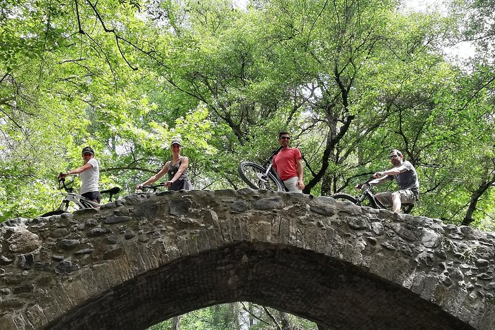 Explore Paphos forest with e-mountain bikes  - Photo 1 of 8