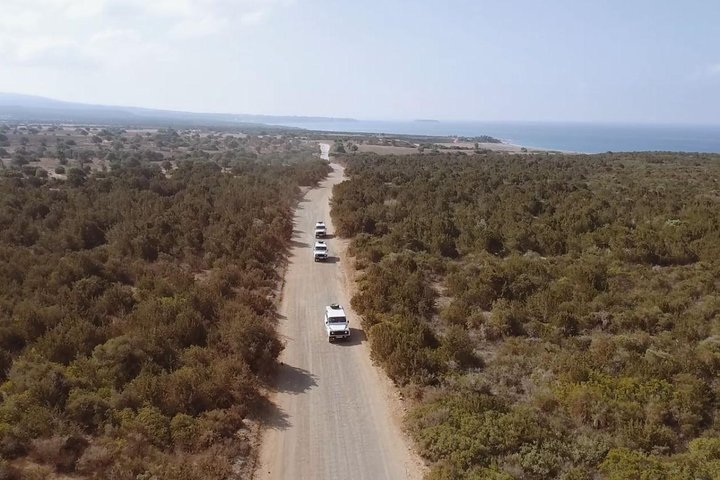 Safari Tour Paphos National Reserve