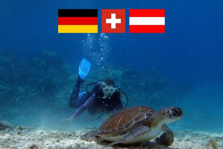 Introductory diving in small groups - Photo 1 of 6