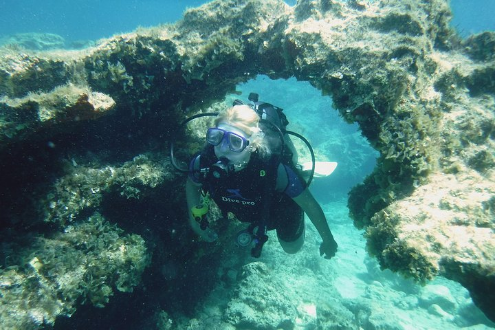 Local Guided Dives (for certified/licensed divers) - Photo 1 of 13