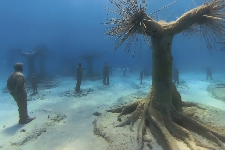 Scuba Diving Experience & MUSAN Dive + Free Edited Video 2xdives - Photo 1 of 7