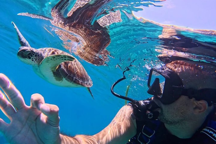 Discover Scuba Diving in Protaras with Video & Small Groups - Photo 1 of 15