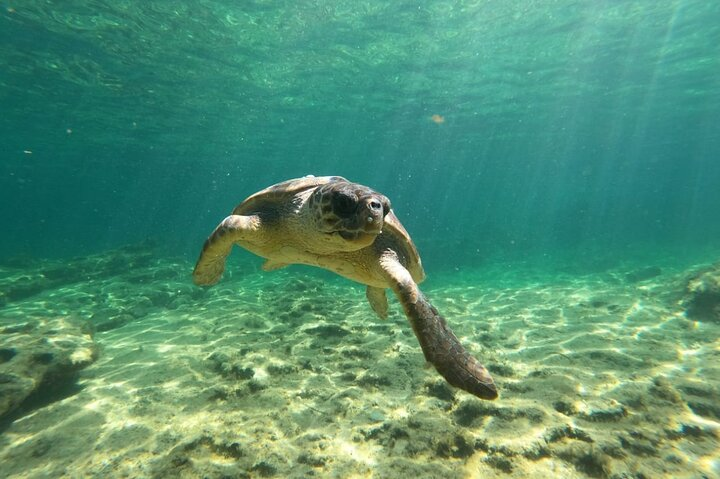 Lara Bay & Adonis Falls Quad & Buggy Tour - Photo 1 of 21
