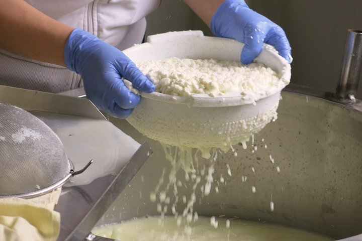 See the halloumi-making in action