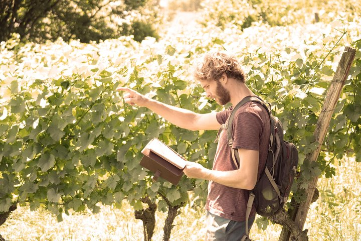 Private: Outdoor Escape Game Tuniberg: Eduardo & the Wine Secret - Photo 1 of 11