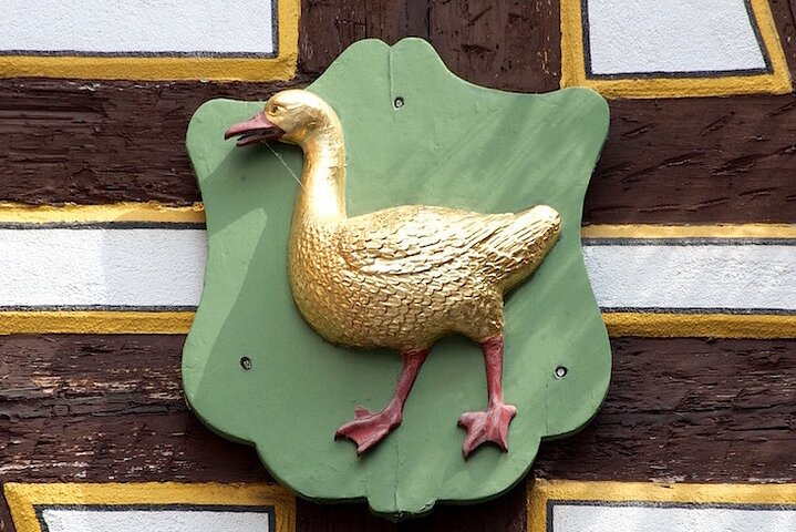 Spotting well-known animals is part of the fun!