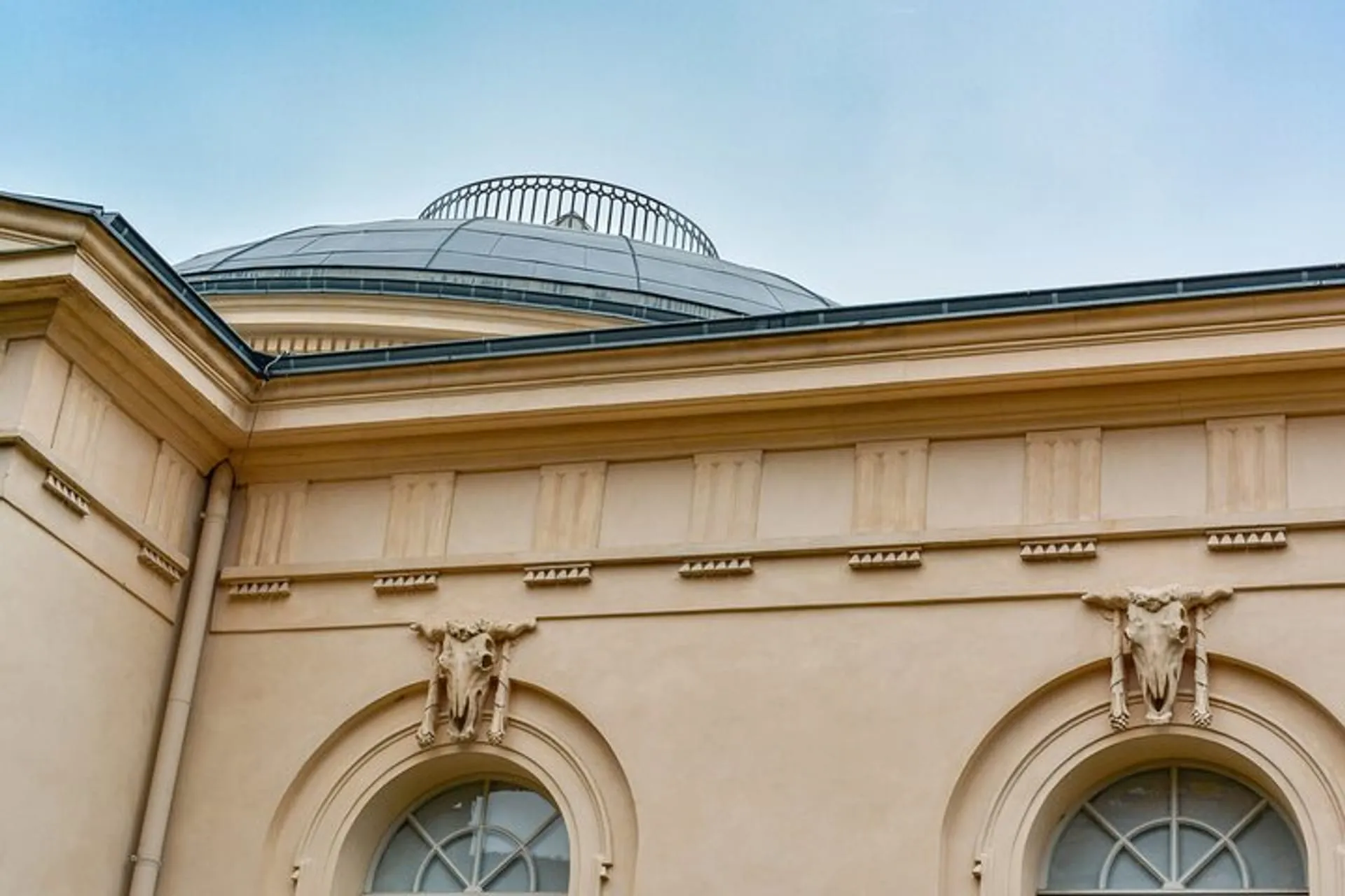 Charité Hospital Walking Tour: Exploring Berlin's Medical History in Berlin  | Pelago, image size:1920x1280