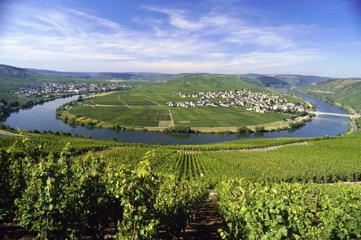  For the love of Riesling - Mosel Wine tour  - Photo 1 of 5