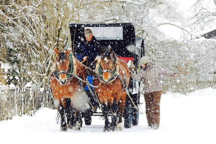 Winter Horse Carriage Ride