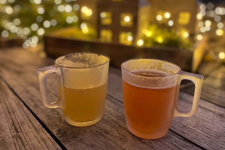 Mulled wine walk around Karlsruhe Castle - Photo 1 of 4