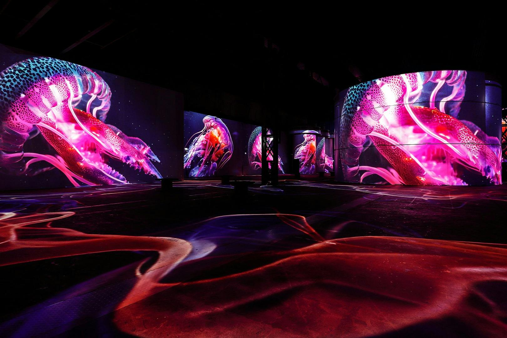 Phoenix des Lumières: The Wonders of the Ocean - An Immersive Dive - Photo 1 of 5