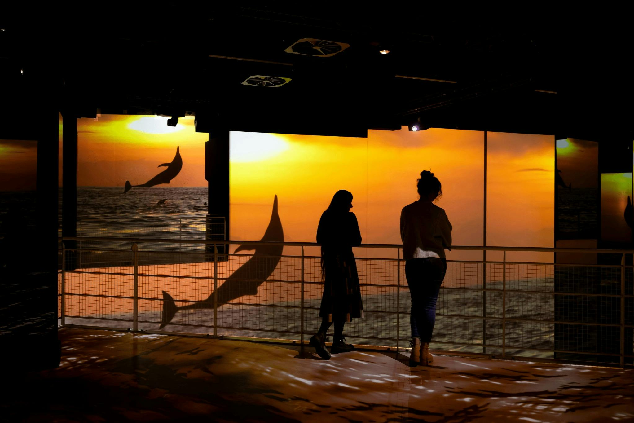 Port des Lumières: Ocean Wonders - An Immersive Dive Entry - Photo 1 of 6