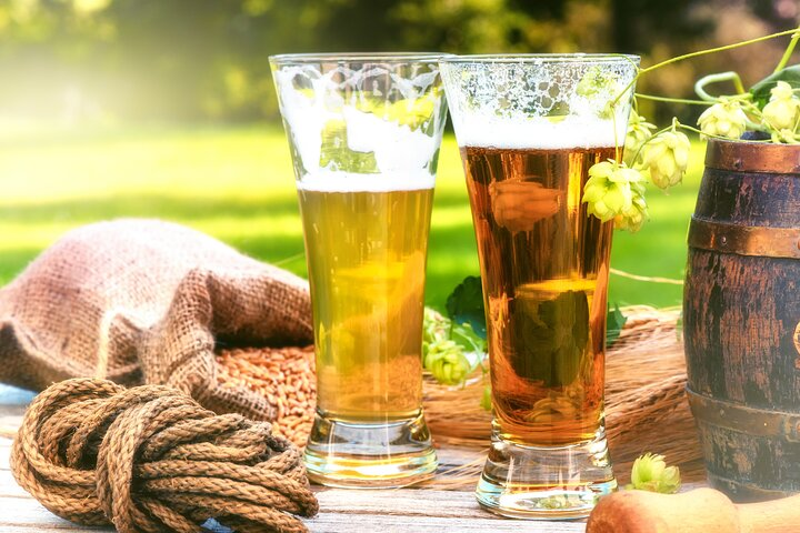 Private German Beer Tasting Tour in Hamburg Old Town - Photo 1 of 8