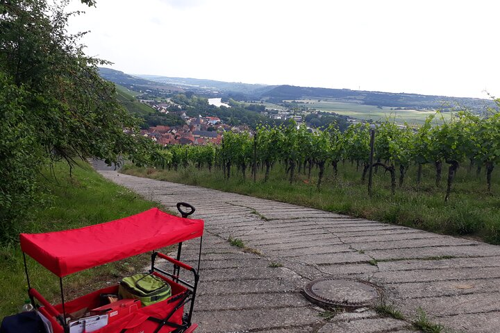 Exclusive wine hike with wine + group experience Würzburg - Photo 1 of 5