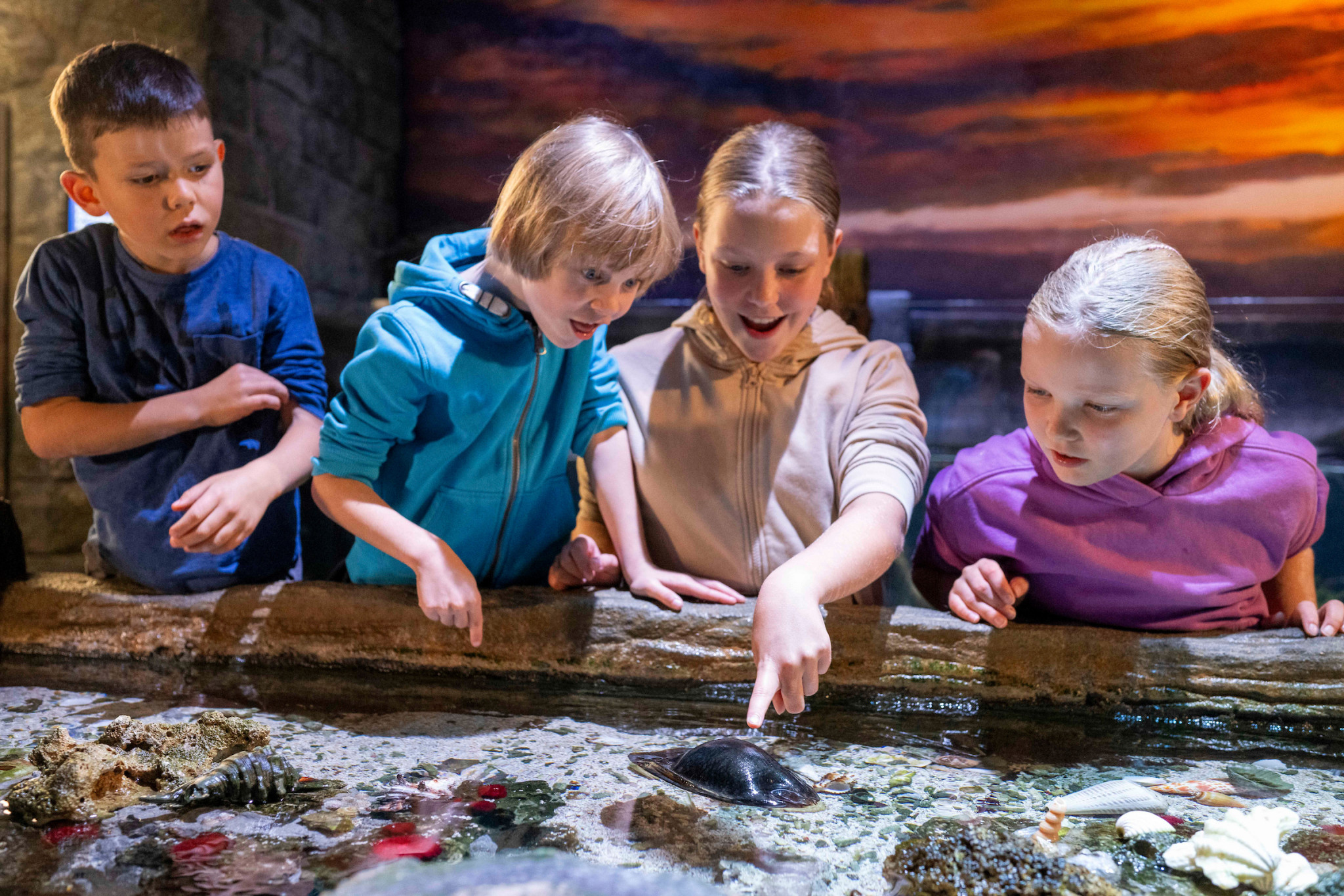 SEA LIFE Munich Aquarium Tickets - Photo 1 of 8