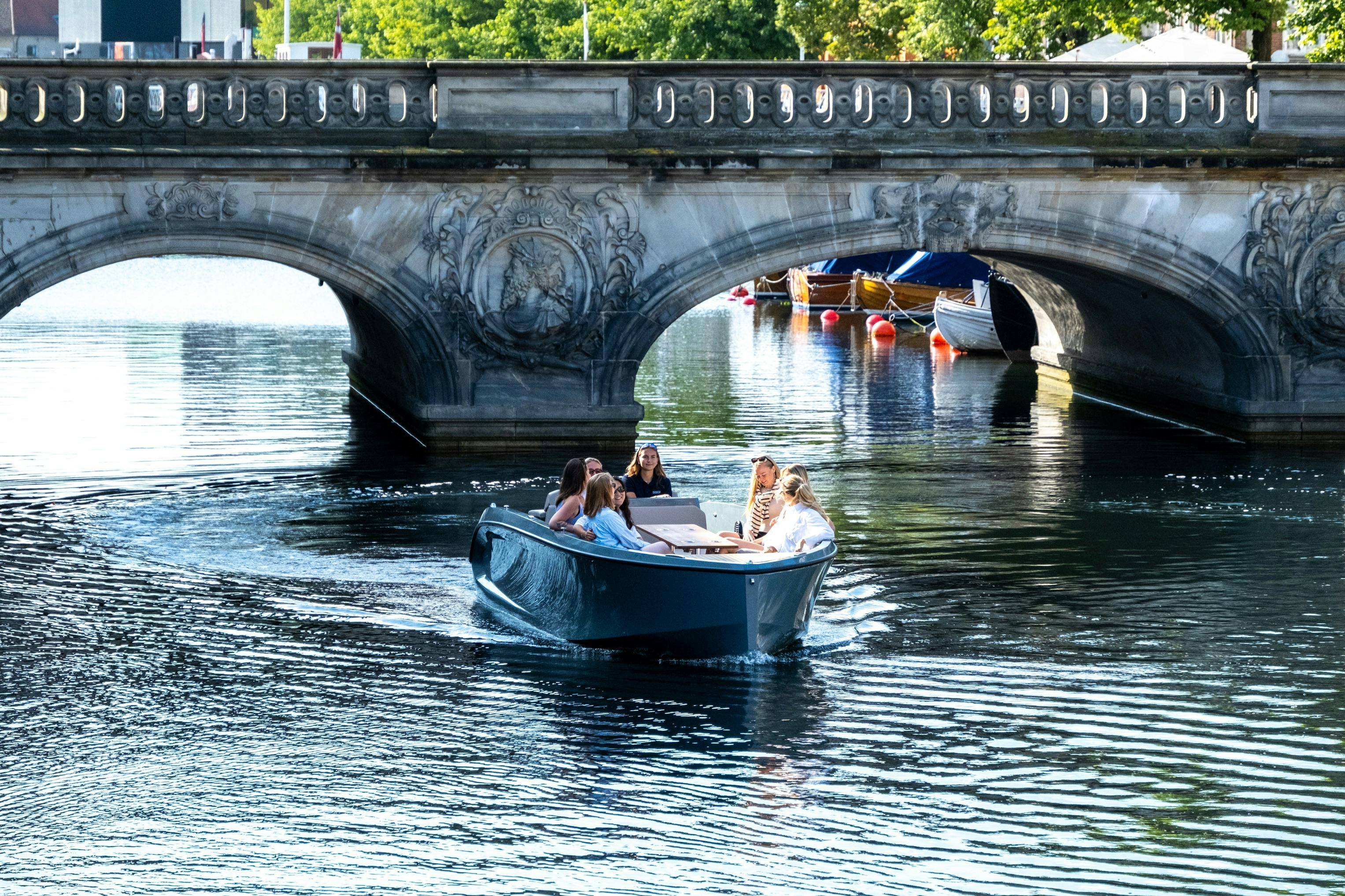 Copenhagen: 2, 3, 4, or 5-Hour Private Boat Tour - Photo 1 of 8