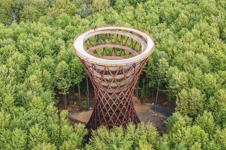 Experience a unique connection with nature on the wooden path leading to the Forest Tower surrounded by lush greenery offering breathtaking views from its lofty height.