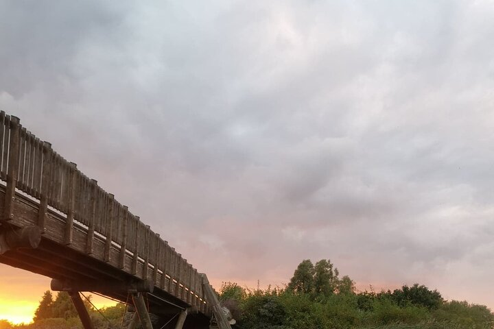 Experience serene walks along wooden paths surrounded by lush nature and friendly wildlife capturing stunning moments while discovering the secrets of six forgotten giants in Copenhagen.