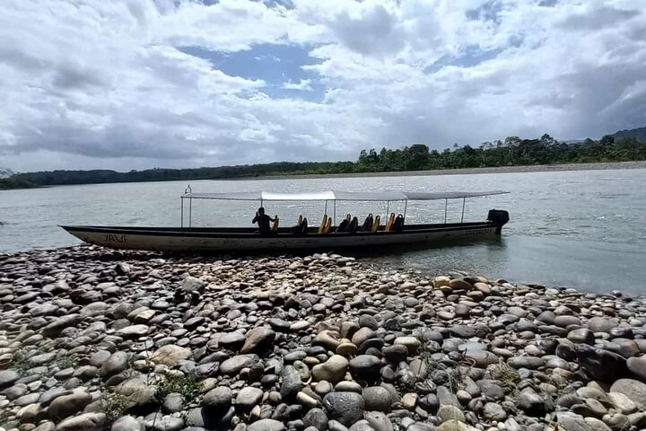Ecuador Journey to the Amazon Jungle (All inclusive) - Photo 1 of 15
