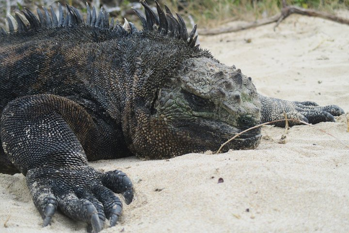 San Cristobal Island