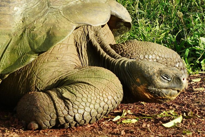 7-Day Galapagos Essentials - Photo 1 of 9