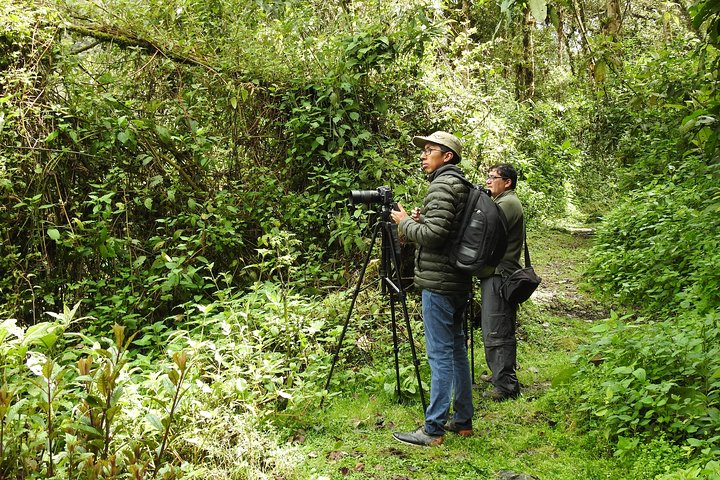 Prívate birding tour in Mindo Cloud-Forest + Mitad del mundo - Photo 1 of 10